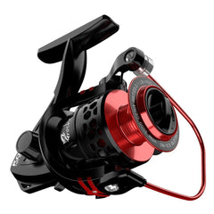 Fishing Reel & Accessories