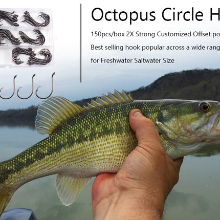 300 Pcs Octopus Circle Hooks Offset Point 6 Sizes
