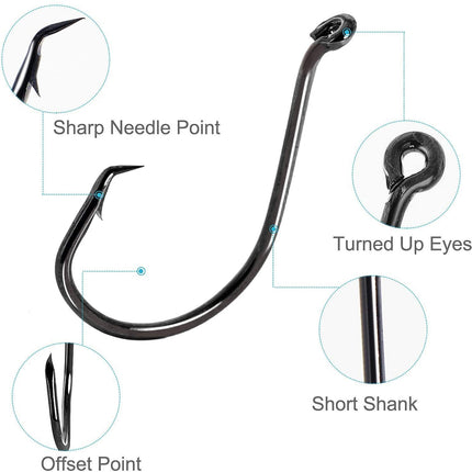Offset Sport Circle Hooks With Box